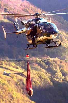 evacuation depouille canelle