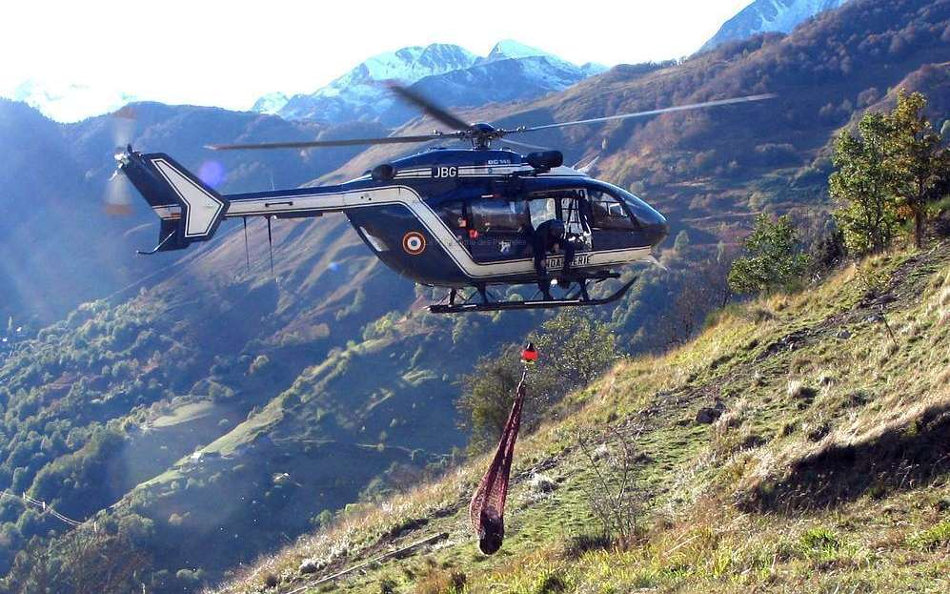 helitreuillage de la depouille de cannelle